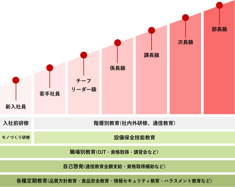 サナスの人財育成